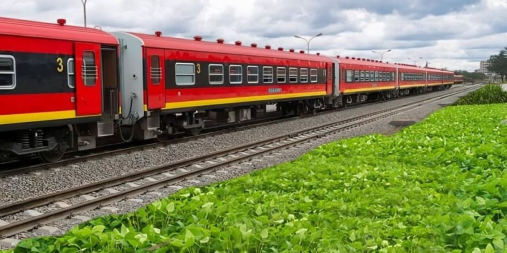 Read more about the article Corredor do Lobito recebe 50 milhões de euros para criar empregos na agricultura